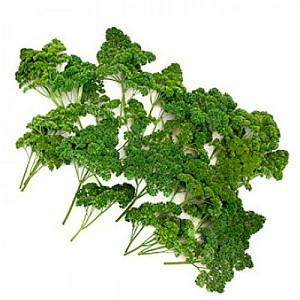 Seminte Rijk Zwaan Rina RZ