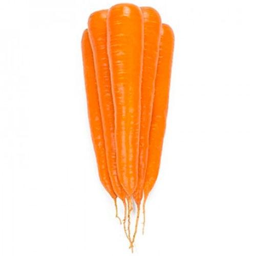 Seminte de morcov Rijk Zwaan Trafford F1