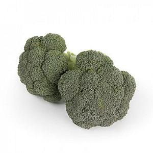 Seminte de broccoli Rijk Zwaan Larsson F1