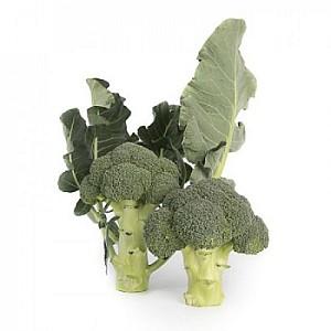 Seminte de broccoli Rijk Zwaan Larsson F1