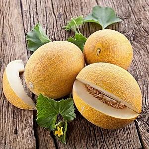 Seminte de pepene galben Clause Credo F1