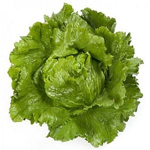 Seminte de salata Rijk Zwaan Santarinas RZ