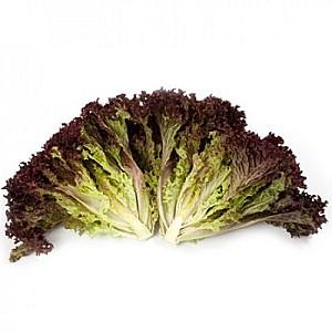 Seminte de salata Rijk Zwaan Carmesi RZ