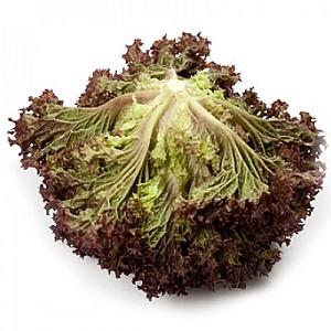 Seminte de salata Rijk Zwaan Carmesi RZ