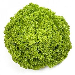 Seminte de salata Rijk Zwaan Aleppo RZ