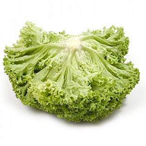 Seminte de salata Rijk Zwaan Aleppo RZ