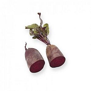 Seminte de sfecla rosie Rijk Zwaan Carillon F1