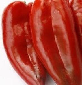 Seminte de ardei Rijk Zwaan Dinamica F1