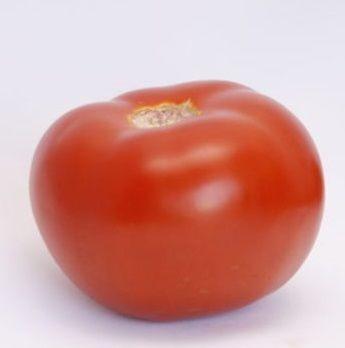 Seminte de rosii Rijk Zwaan Umagna F1