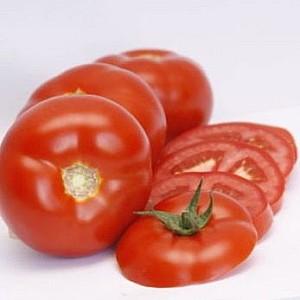 Seminte de rosii Rijk Zwaan Umagna F1