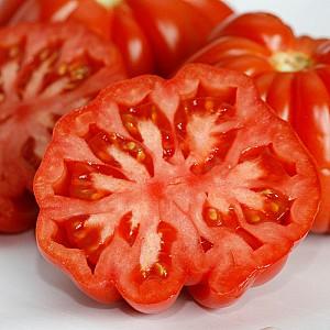 Seminte de rosii Rijk Zwaan Rugantino F1