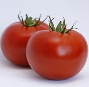 Seminte de rosii Rijk Zwaan Cinto F1