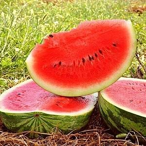 Seminte de pepene verde Rijk Zwaan Columbia F1