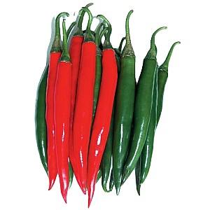 Seminte de ardei Nongwoo Bio Big Daddy F1