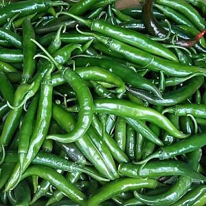 Seminte de ardei Nongwoo Bio Big Daddy F1