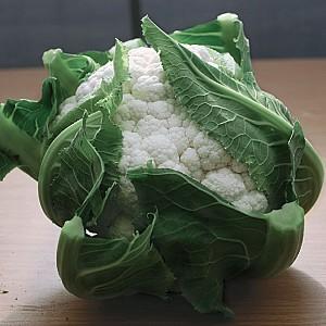 Seminte de conopida Nongwoo Bio Bianca F1