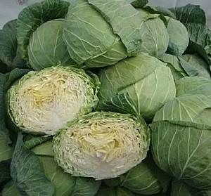 Seminte de varza alba Rijk Zwaan Multima F1