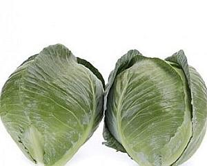 Seminte de varza alba Rijk Zwaan Congama F1