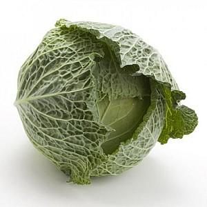 Seminte de varza creata Rijk Zwaan Morama F1