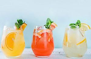 Storcator de fructe Delimano Primera (110078918)