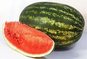 Seminte de pepene verde Kitano Seeds KS 163 F1