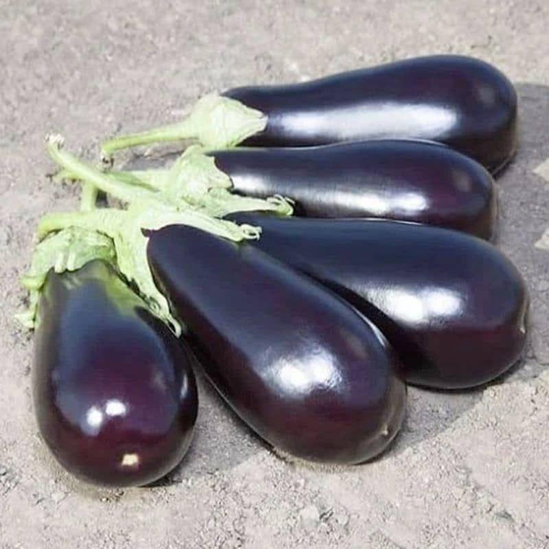 Seminte de vinete Kitano Seeds KS 1258 F1