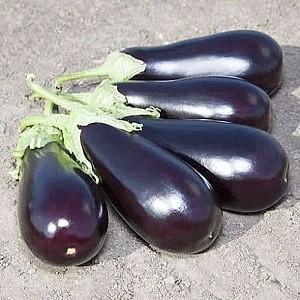 Seminte de vinete Kitano Seeds KS 1258 F1