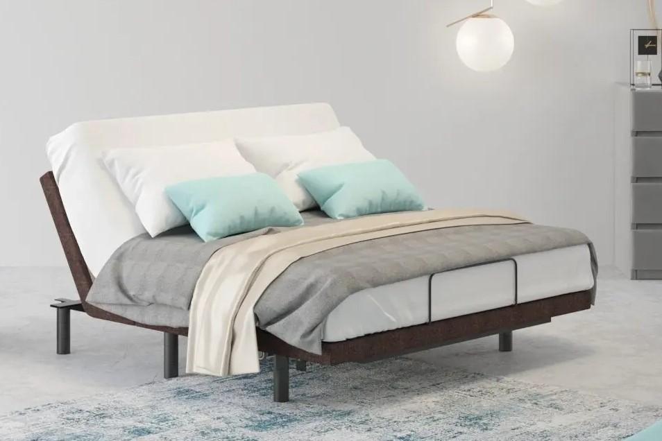 Pat Askona Ergomotion 3160