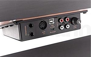 Pian digital Hemingway DP-501 MKII RW SET