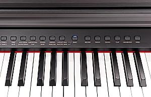 Pian digital Hemingway DP-501 MKII RW SET