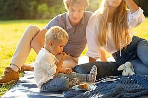 Plapuma Caretero Light Minky Hedgehogs Grey