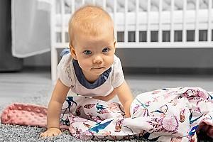 Plapuma Caretero Light Minky Hedgehogs Grey