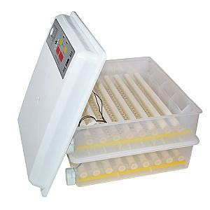 Incubator Demetra DM-120