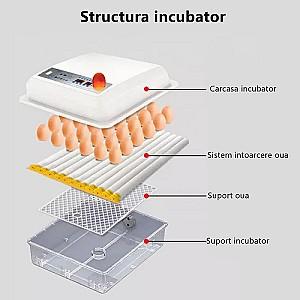 Incubator Demetra DM-120