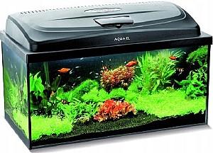 Acvariu Aquael CLASSIC BOX 80 PAP