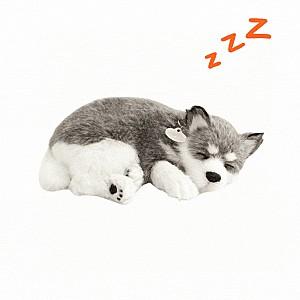 Jucarie de plus Perfect Petzzz Husky din Alaska 91-03