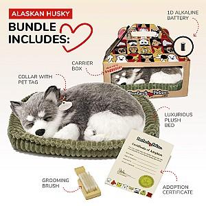 Jucarie de plus Perfect Petzzz Husky din Alaska 91-03
