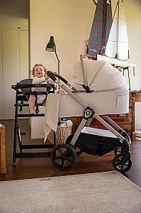 Carucior 2 in 1 Dada Prams Flux Black