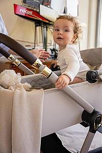 Carucior 2 in 1 Dada Prams Flux Almond