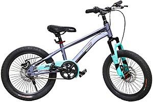 Bicicleta copii New World APAQI Grey 61549