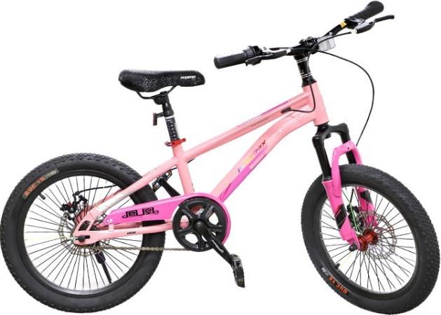 Bicicleta copii New World APAQI Pink 61550