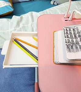 Masuta laptop West A1-12 Pink 4 port Usb