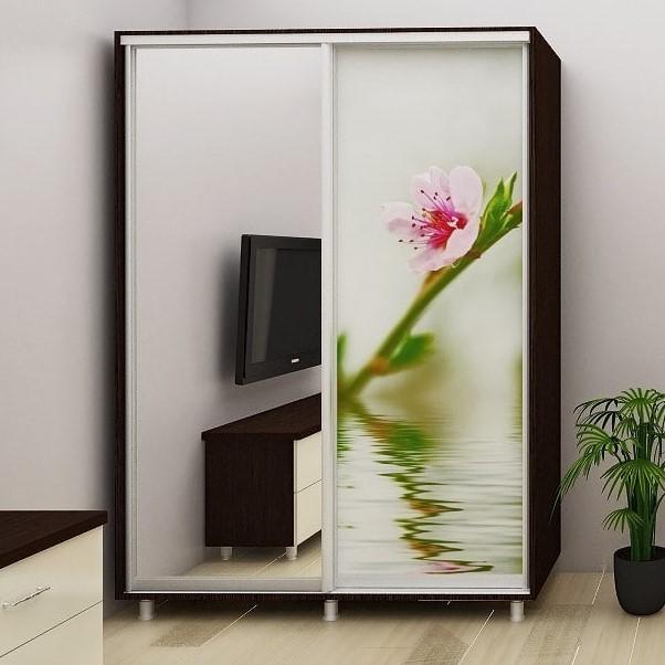 Dulap-cupe PS DX-100 (1 foto Sakura) Mokka