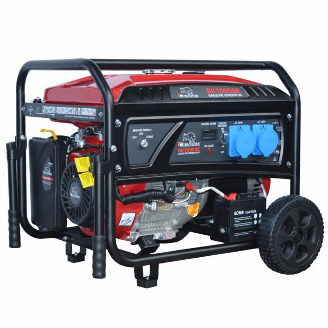 Generator electric de curent Bisonte SK10000E