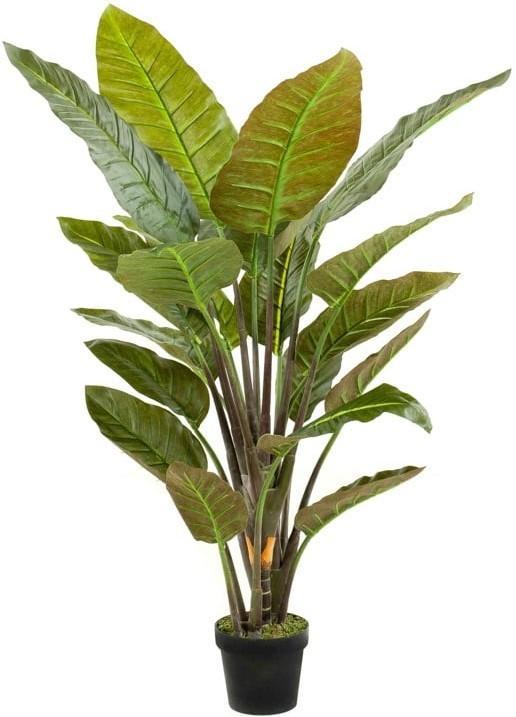 Flori artificiale Emerald Strelitzia (077128)