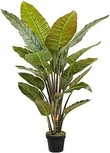 Flori artificiale Emerald Strelitzia (077128)