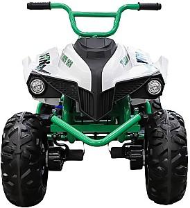 ATV electric Golden Baby S621