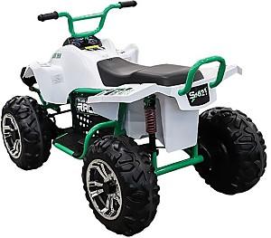 ATV electric Golden Baby S621