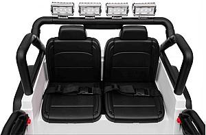 ATV electric Golden Baby XMX655