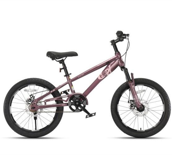 Bicicleta copii New World TN24Q22 Purple